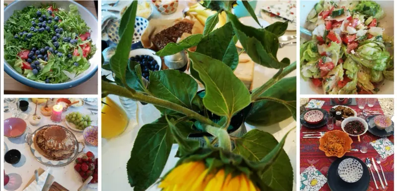 Aus der Studioküche: Salate, Kuchen und Sonnenblumen